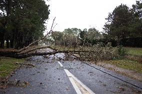 Damage caused by the Ciaran Storm - Morbihan