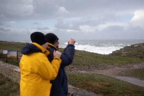 Damage caused by the Ciaran Storm - Morbihan