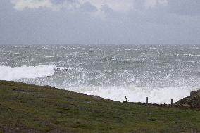 Damage caused by the Ciaran Storm - Morbihan