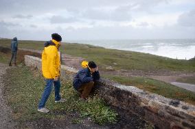 Damage caused by the Ciaran Storm - Morbihan