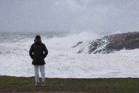 Damage caused by the Ciaran Storm - Morbihan