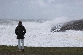 Damage caused by the Ciaran Storm - Morbihan