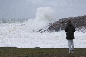 Damage caused by the Ciaran Storm - Morbihan