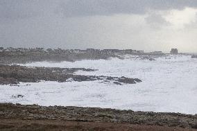 Damage caused by the Ciaran Storm - Morbihan