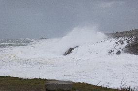 Damage caused by the Ciaran Storm - Morbihan