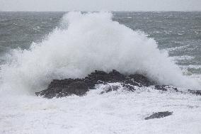 Damage caused by the Ciaran Storm - Morbihan