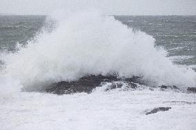 Damage caused by the Ciaran Storm - Morbihan