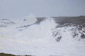 Damage caused by the Ciaran Storm - Morbihan