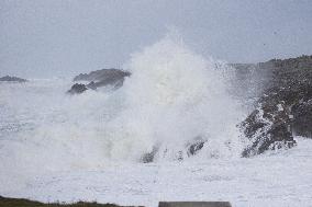 Damage caused by the Ciaran Storm - Morbihan