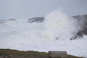 Damage caused by the Ciaran Storm - Morbihan