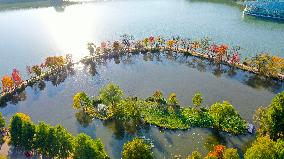 Tourists Enjoy Zhongshan Botanical Garden Autumn Scenery in Nanjing