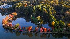 Zhongshan Botanical Garden Autumn Scenery in Nanjing