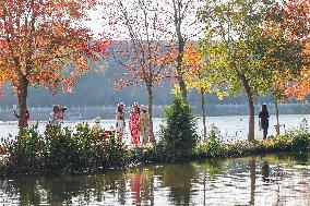 Tourists Enjoy Zhongshan Botanical Garden Autumn Scenery in Nanjing