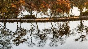 Zhongshan Botanical Garden Autumn Scenery in Nanjing