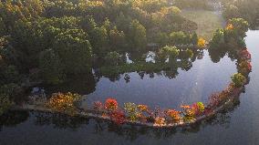 Zhongshan Botanical Garden Autumn Scenery in Nanjing