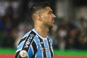 Coritiba v Gremio - Brazilian League Serie A 2023 Round 31