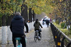 Temperature Sudden Drop in Shenyang