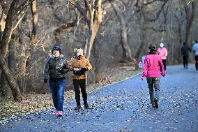 Temperature Sudden Drop in Shenyang