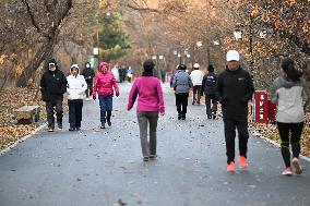 Temperature Sudden Drop in Shenyang