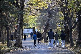 Temperature Sudden Drop in Shenyang