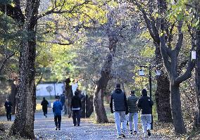 Temperature Sudden Drop in Shenyang