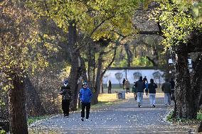 Temperature Sudden Drop in Shenyang