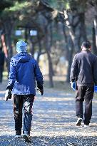 Temperature Sudden Drop in Shenyang