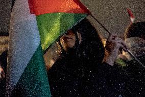 Pro-Palestinian Rally - Paris