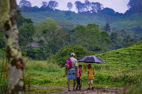 A Journey To The Rural Heart Of Sabaragamuwa: Wewalthalawa's Inspiring Tale Of Learning And Hope