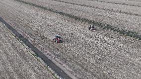 A Farm Machine Sows Wheat in A Field in Lianyungang
