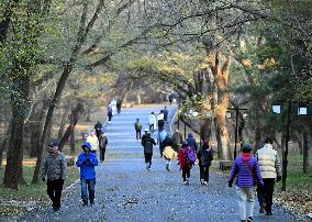 Temperature Sudden Drop in Shenyang