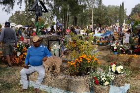 Day Of The Dead - Mexico