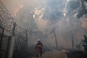 Forest Fire Devastates 2,000 Hectares - Spain