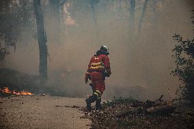 Forest Fire Devastates 2,000 Hectares - Spain