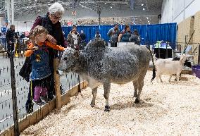 CANADA-TORONTO-ROYAL AGRICULTURAL WINTER FAIR