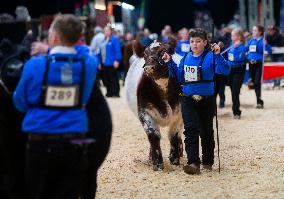 CANADA-TORONTO-ROYAL AGRICULTURAL WINTER FAIR