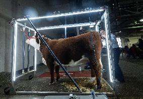 CANADA-TORONTO-ROYAL AGRICULTURAL WINTER FAIR