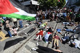 Pro-Palestinian Rally In New Zealand