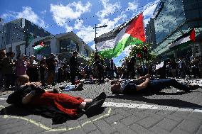 Pro-Palestinian Rally In New Zealand