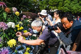 The 35th Chrysanthemum Exhibition in Nanchang