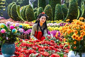 The 35th Chrysanthemum Exhibition in Nanchang