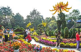 The 35th Chrysanthemum Exhibition in Nanchang