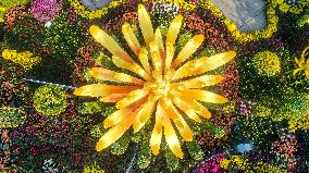 The 35th Chrysanthemum Exhibition in Nanchang