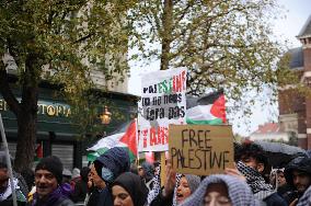 Pro-Palestinian Rally - Lille
