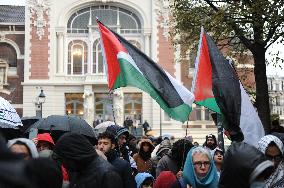 Pro-Palestinian Rally - Lille