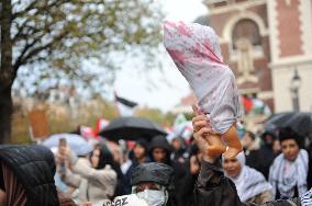 Pro-Palestinian Rally - Lille