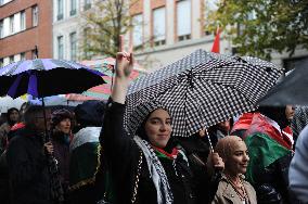 Pro-Palestinian Rally - Lille