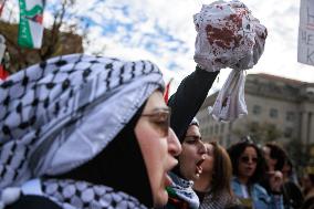 Pro-Palestine March In Washington