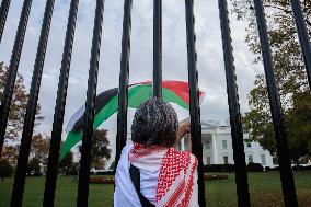 Pro-Palestine March In Washington