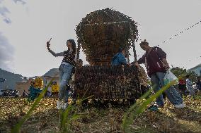Tourists Admire Rice Straw Exhibits in Bijie